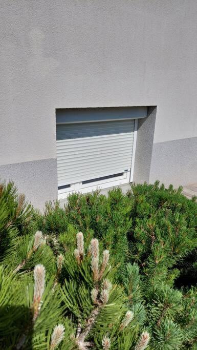 City Lodge Pine, Free Parking Любляна Екстер'єр фото
