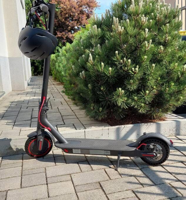 City Lodge Pine, Free Parking Любляна Екстер'єр фото